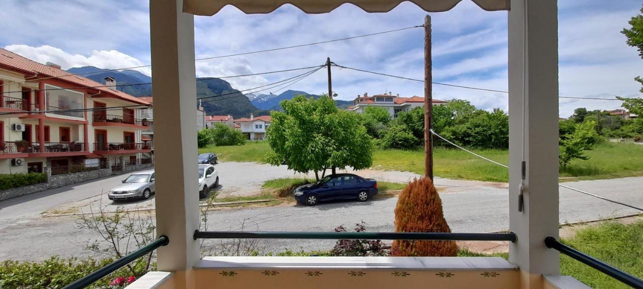 Iliada Apartment Litochoro Rum bild